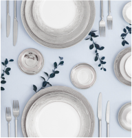 Argentatus Argentatus