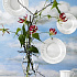 Салатник Cellini, 0,75 л, фарфор