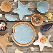COQUILLAGES