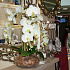 Композиция из искусственных цветов "Калабрия"