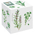 Кружка фарфоровая HERBARIUM, объем 350 мл в подарочной упаковке