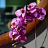 Цветочная композиция Флоренция VIOLET