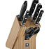 Набор ножей в блоке Zwilling Professional