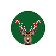 Блюдо стеклянное 30 см , CANDY CANE ANTLERS  магазин «Аура Дома»