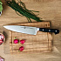 Набор ножей в блоке Zwilling Professional